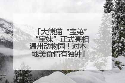 大熊猫“宝弟”“宝妹”正式亮相温州动物园！对本地美食情有独钟