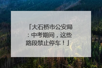 大石桥市公安局：中考期间，这些路段禁止停车！