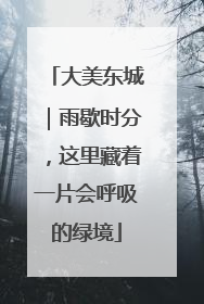 大美东城｜雨歇时分，这里藏着一片会呼吸的绿境