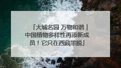 大城名园 万物和谐｜中国植物多样性再添新成员！它只在西藏墨脱
