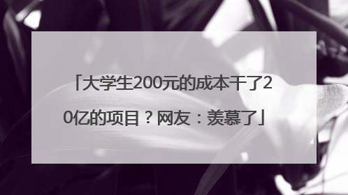 大学生200元的成本干了20亿的项目？网友：羡慕了