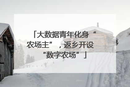 大数据青年化身“农场主”，返乡开设“数字农场”