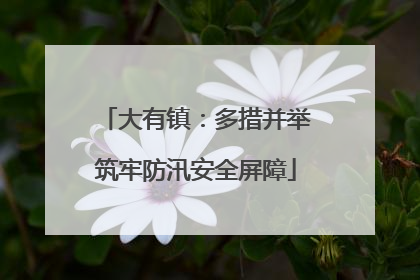 大有镇：多措并举筑牢防汛安全屏障