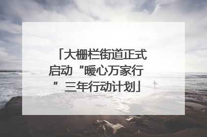 大栅栏街道正式启动“暖心万家行”三年行动计划