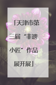 天津市第三届“非遗小匠”作品展开展