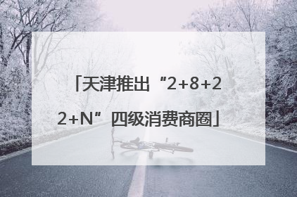 天津推出“2+8+22+N”四级消费商圈