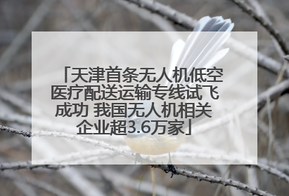 天津首条无人机低空医疗配送运输专线试飞成功 我国无人机相关企业超3.6万家