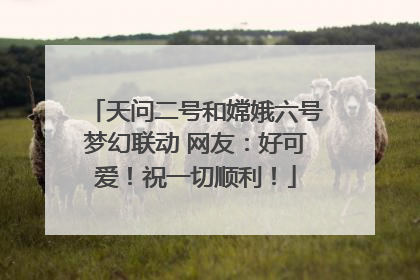 天问二号和嫦娥六号梦幻联动 网友：好可爱！祝一切顺利！