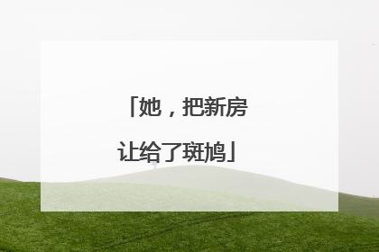 她，把新房让给了斑鸠
