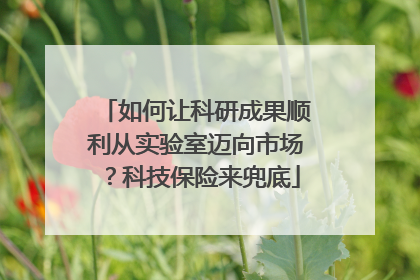 如何让科研成果顺利从实验室迈向市场？科技保险来兜底