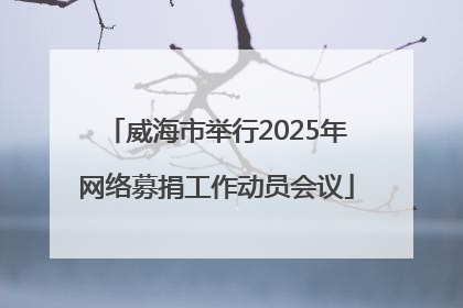 威海市举行2025年网络募捐工作动员会议