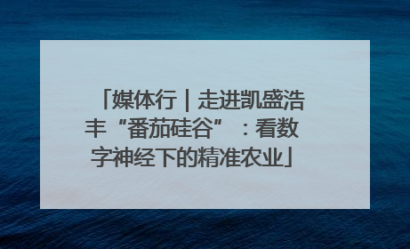 媒体行｜走进凯盛浩丰“番茄硅谷”：看数字神经下的精准农业