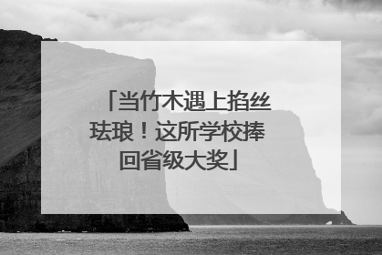 当竹木遇上掐丝珐琅！这所学校捧回省级大奖