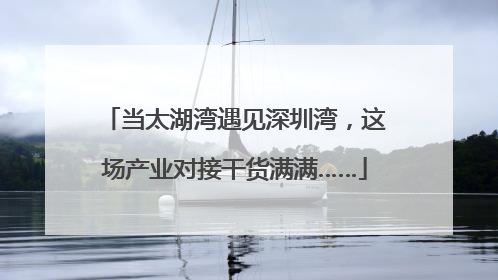 当太湖湾遇见深圳湾，这场产业对接干货满满……
