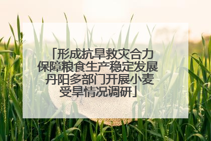 形成抗旱救灾合力 保障粮食生产稳定发展 丹阳多部门开展小麦受旱情况调研