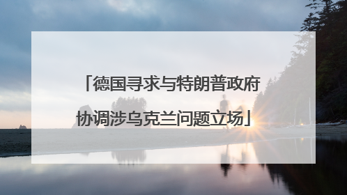 德国寻求与特朗普政府协调涉乌克兰问题立场
