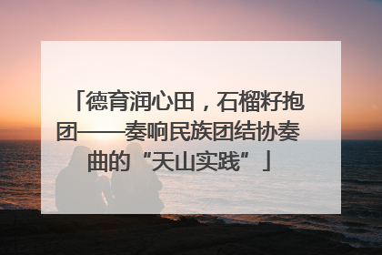 德育润心田，石榴籽抱团——奏响民族团结协奏曲的“天山实践”