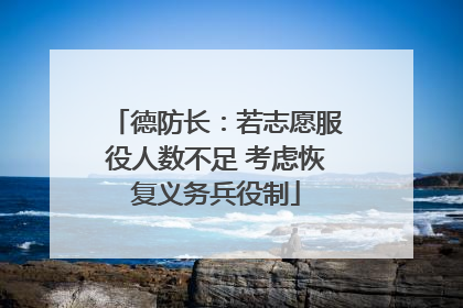 德防长：若志愿服役人数不足 考虑恢复义务兵役制