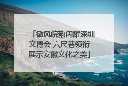 徽风皖韵闪耀深圳文博会 六尺巷领衔展示安徽文化之美
