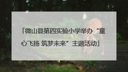 微山县第四实验小学举办“童心飞扬 筑梦未来”主题活动