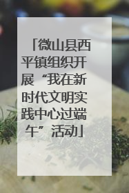 微山县西平镇组织开展“我在新时代文明实践中心过端午”活动