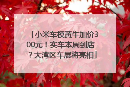 小米车模黄牛加价300元！实车本周到店？大湾区车展将亮相