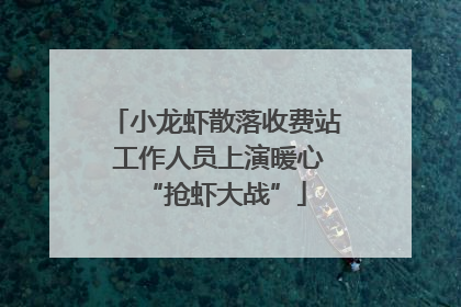 小龙虾散落收费站 工作人员上演暖心“抢虾大战”