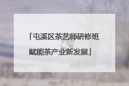 屯溪区茶艺师研修班赋能茶产业新发展
