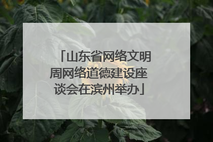 山东省网络文明周网络道德建设座谈会在滨州举办