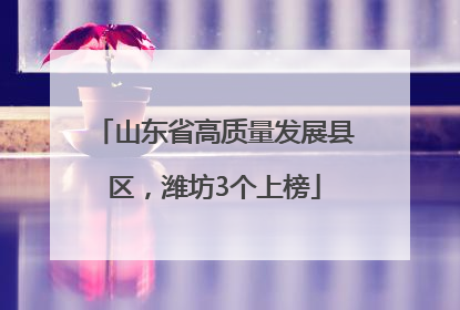 山东省高质量发展县区，潍坊3个上榜