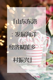 山东东港：发展海洋经济赋能乡村振兴