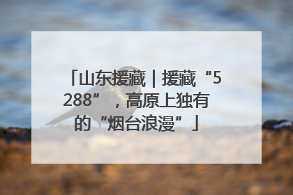 山东援藏|援藏“5288”,高原上独有的“烟台浪漫”