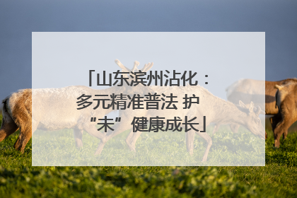 山东滨州沾化：多元精准普法 护“未”健康成长