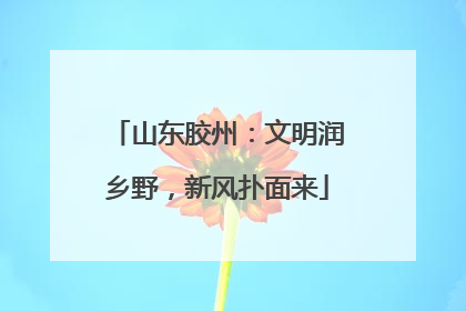 山东胶州：文明润乡野，新风扑面来