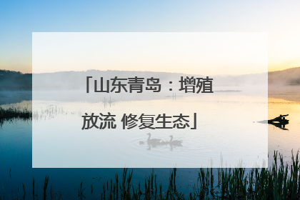 山东青岛：增殖放流 修复生态