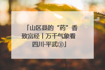 山区县的“药”香致富经丨万千气象看四川·平武③