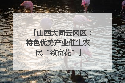 山西大同云冈区:特色优势产业催生农民“致富花”