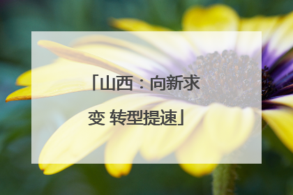 山西：向新求变 转型提速