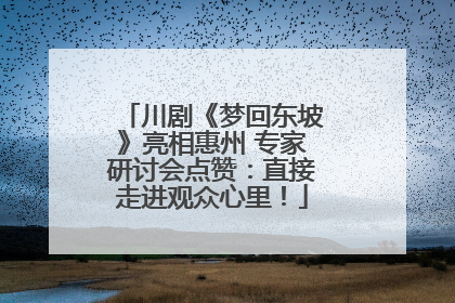 川剧《梦回东坡》亮相惠州 专家研讨会点赞：直接走进观众心里！