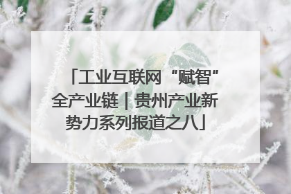 工业互联网“赋智”全产业链｜贵州产业新势力系列报道之八
