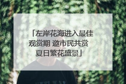 左岸花海进入最佳观赏期 邀市民共赏夏日繁花盛景