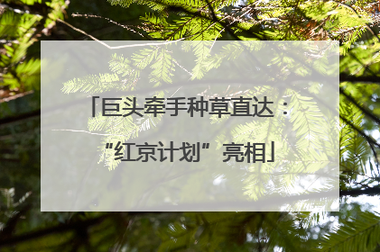 巨头牵手种草直达：“红京计划”亮相