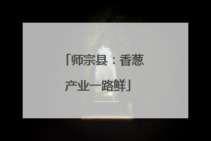 师宗县：香葱产业一路鲜