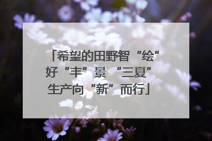 希望的田野智“绘”好“丰”景 “三夏”生产向“新”而行