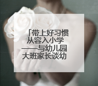 带上好习惯 从容入小学——与幼儿园大班家长谈幼小衔接