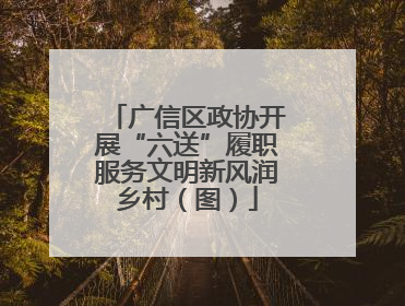 广信区政协开展“六送”履职服务文明新风润乡村（图）