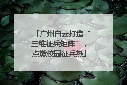广州白云打造“三维征兵矩阵”，点燃校园征兵热