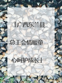 广西东兰县总工会情暖童心呵护成长