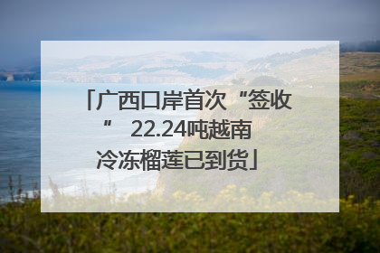 广西口岸首次“签收” 22.24吨越南冷冻榴莲已到货