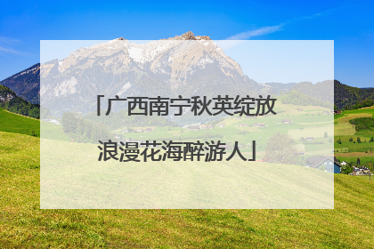 广西南宁秋英绽放 浪漫花海醉游人
